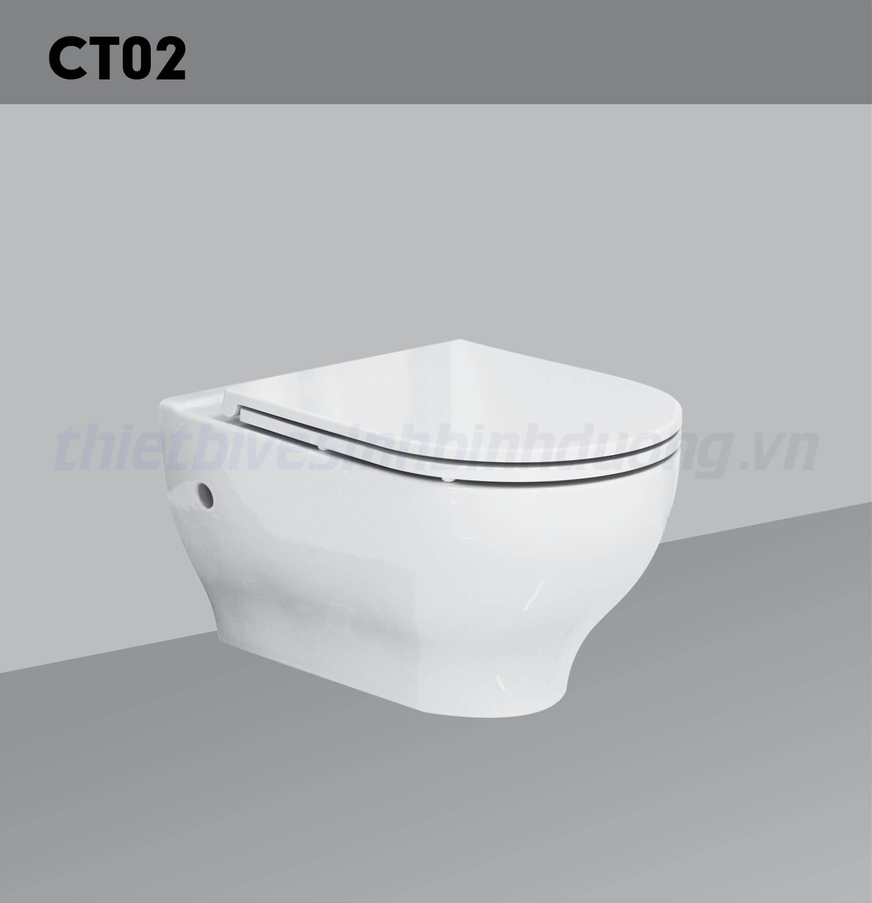 Bồn cầu sứ Hảo Cảnh HC CT02